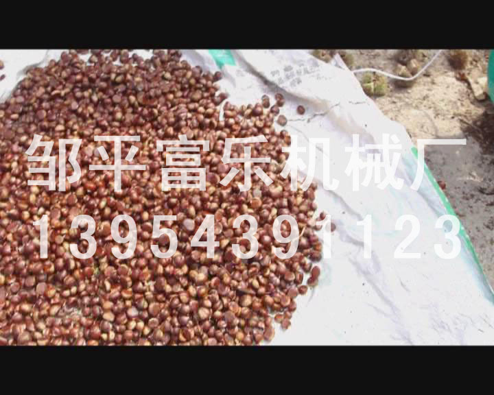 板栗脫殼機(jī)板栗脫蓬機(jī)