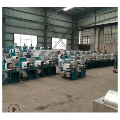 全自動螺旋花生榨油機 菜籽葵花籽榨油機 創(chuàng)業(yè)多功能榨油機