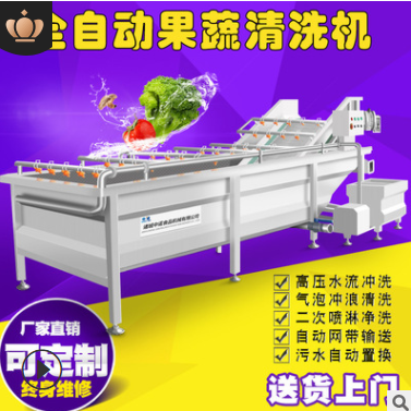 現(xiàn)貨果蔬氣泡清洗機 全自動凈菜設備蔬菜清洗機 學校食堂洗菜機