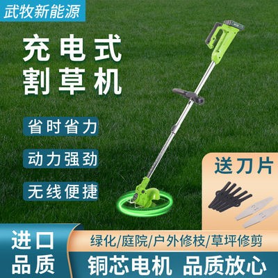 家用除草機(jī)充電式草坪機(jī)手持農(nóng)用鋰電打草機(jī)割草機(jī)全自動(dòng)小型電動(dòng)
