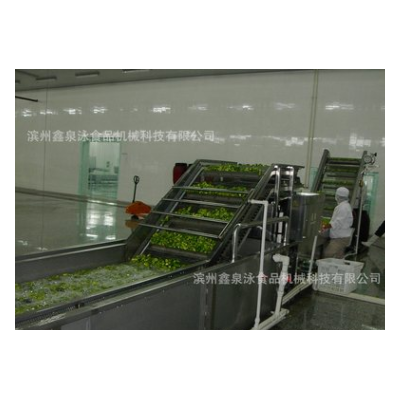 不銹鋼中央廚房蔬菜清洗線、潔凈菜氣泡清洗機(jī)