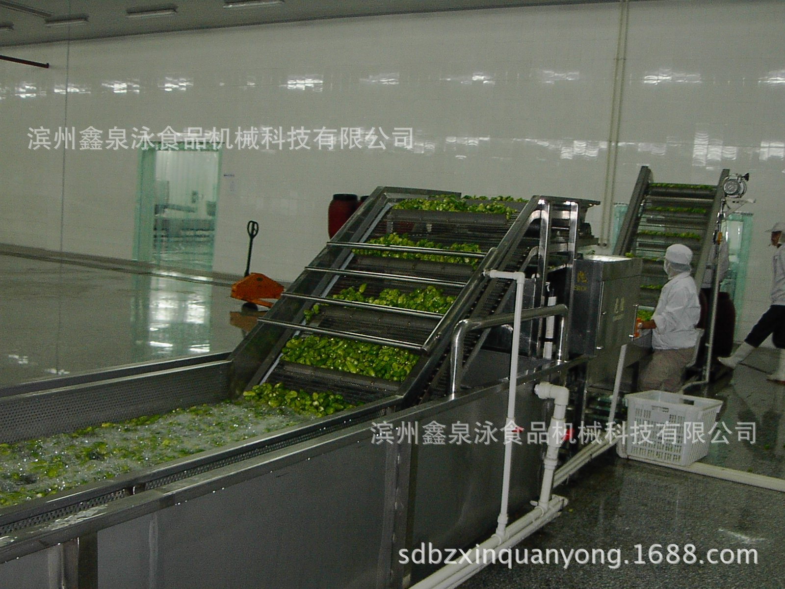 蔬菜清洗機(jī)