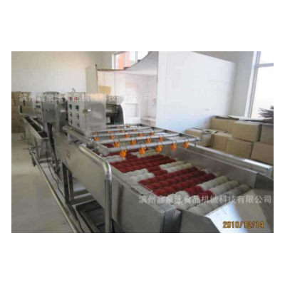 供應(yīng)不銹鋼紅棗清洗機(jī) 紅棗清洗生產(chǎn)線 廠價(jià)直銷(xiāo)紅棗選果機(jī)