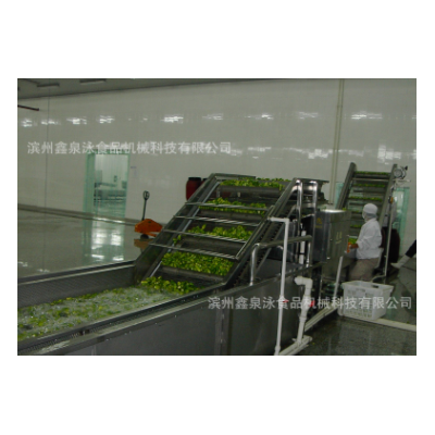 不銹鋼汽泡清洗機(jī) 蔬菜清洗機(jī) 機(jī)械手清洗機(jī) 中央廚房洗菜機(jī)