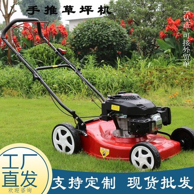 批發(fā)自走式草坪機(jī) 18/20/21寸手推款花園剪草機(jī) 四沖程手推割草機(jī)