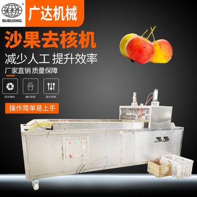 可生產(chǎn)通孔沙果去核機 山楂去籽機廠家 海棠果去核機廠家直銷