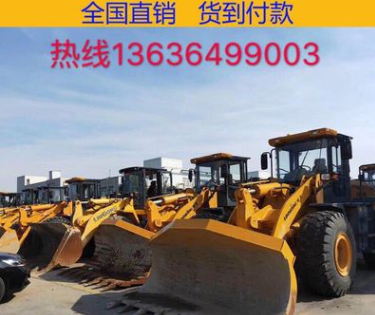 上海現(xiàn)場真品鏟車裝載機30/50裝載機，供應龍工臨工柳工