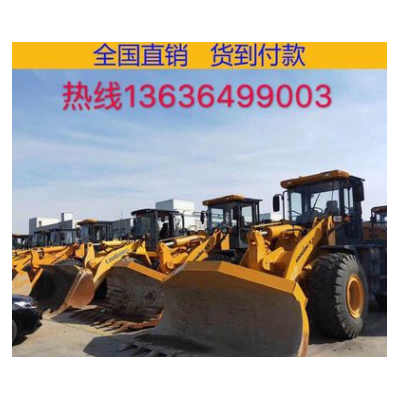 上?，F(xiàn)場真品鏟車裝載機30/50裝載機，供應(yīng)龍工臨工柳工