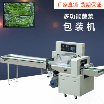 蔬菜包裝機(jī) 蔬菜全自動(dòng)打包機(jī) 伺服枕式往復(fù)包裝機(jī)械設(shè)備