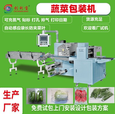 蔬菜包裝機(jī)往復(fù)式枕式全自動(dòng)真空包裝機(jī)肉類(lèi)果蔬食品包裝機(jī)械設(shè)備