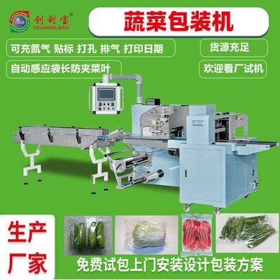 蔬菜包裝機(jī)往復(fù)式枕式全自動真空包裝機(jī)肉類果蔬食品包裝機(jī)械設(shè)備