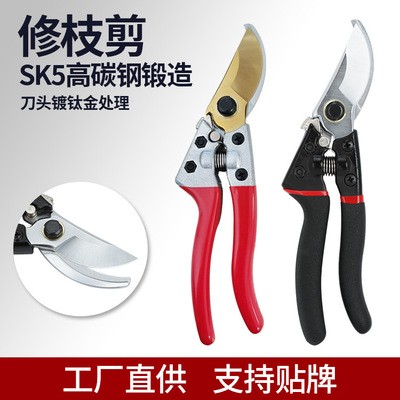 廠家直供SK5樹枝剪園林彎頭修枝剪粗枝剪 摘果剪 盆景修花剪