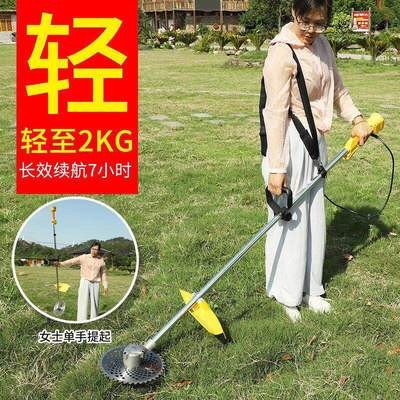 無(wú)刷電動(dòng)割草機(jī)小型背負(fù)式割草機(jī)鋰電池電動(dòng)割草機(jī)充電式割草機(jī)
