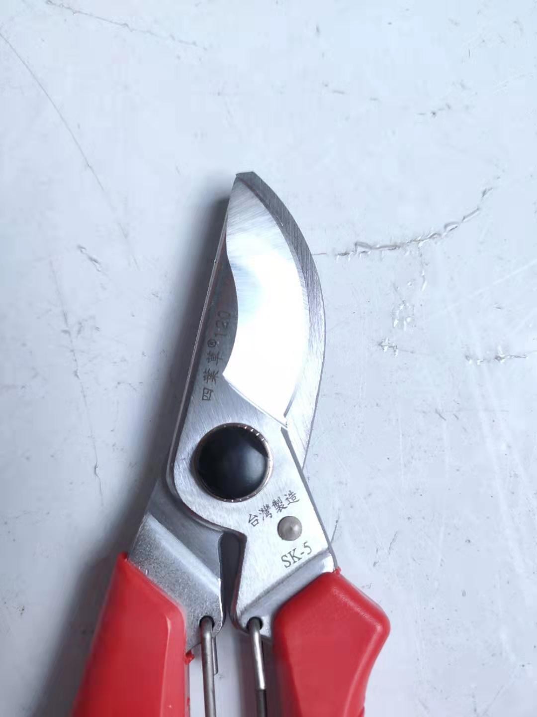 園林花藝花剪園藝修剪樹(shù)枝剪粗枝果樹(shù)剪枝修花剪刀修枝剪省力剪子