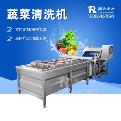連續(xù)式葉菜類(lèi)清洗線 連鎖餐飲中央廚房洗菜機(jī) 全自動(dòng)蔬菜清洗機(jī)