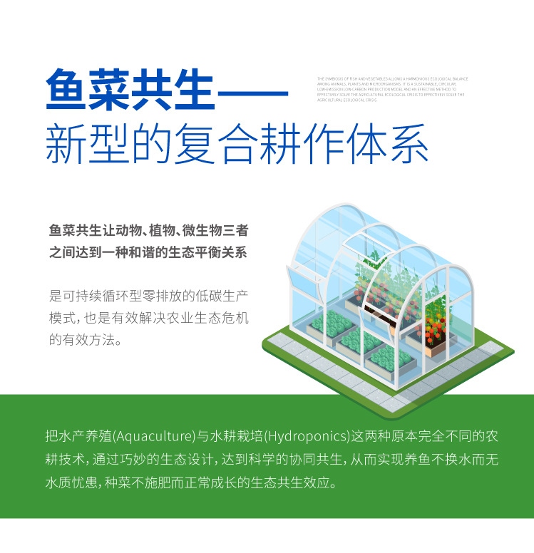 魚(yú)菜共生系統(tǒng)
