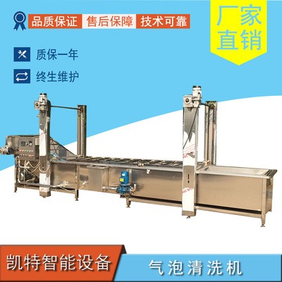 艾草清洗機(jī)葡萄干清洗機(jī)蘿卜加工全套設(shè)備廠家銷售支持定制