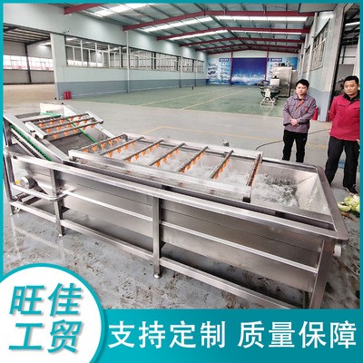 不銹鋼全自動果蔬清洗線 高壓氣泡清洗機 油麥菜金針菇清洗設(shè)備