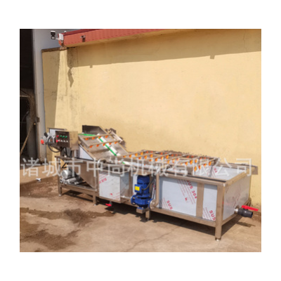 全自動(dòng)噴淋式蔬菜清洗機(jī) 臭氧果蔬清洗機(jī) 凈菜全套流水線設(shè)備廠家