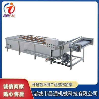 山竹氣泡果蔬清洗機(jī) 多功能蔬菜氣泡清洗機(jī) 全自動高壓噴淋洗菜機(jī)