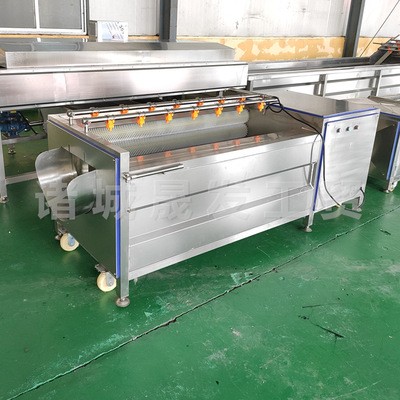 高壓噴淋蔬菜毛輥清洗機(jī)廠家 菠菜全自動清洗機(jī) 中央廚房洗菜機(jī)