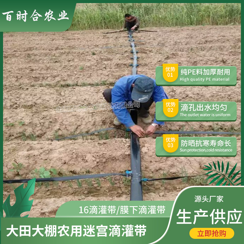迷宮滴灌帶價格廠家山東百時合農業(yè)科技有限公司