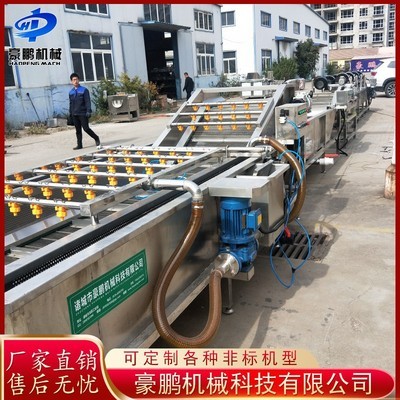 多功能果蔬氣泡清洗機 全自動蔬菜辣椒清洗機 凈菜加工設(shè)備