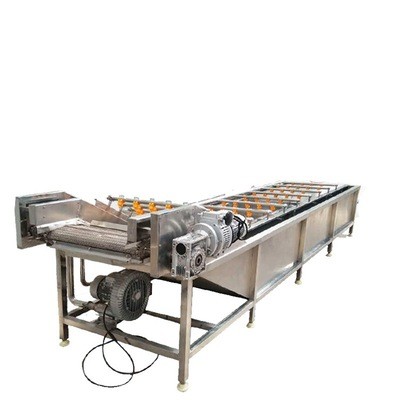 暢銷(xiāo)款噴淋式菌菇類(lèi)清洗設(shè)備 葉類(lèi)蔬菜去雜清洗線