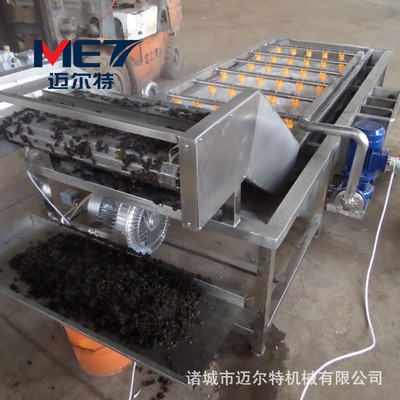供應(yīng)葉類蔬菜清洗機(jī) 根莖類蔬菜氣泡清洗機(jī) 圣女果清洗機(jī)支持定做