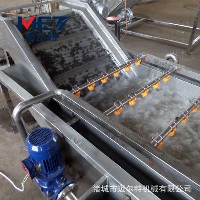 香菇氣泡清洗機(jī) 新鮮木耳清洗加工生產(chǎn)線 商用茶葉清洗加工機(jī)器