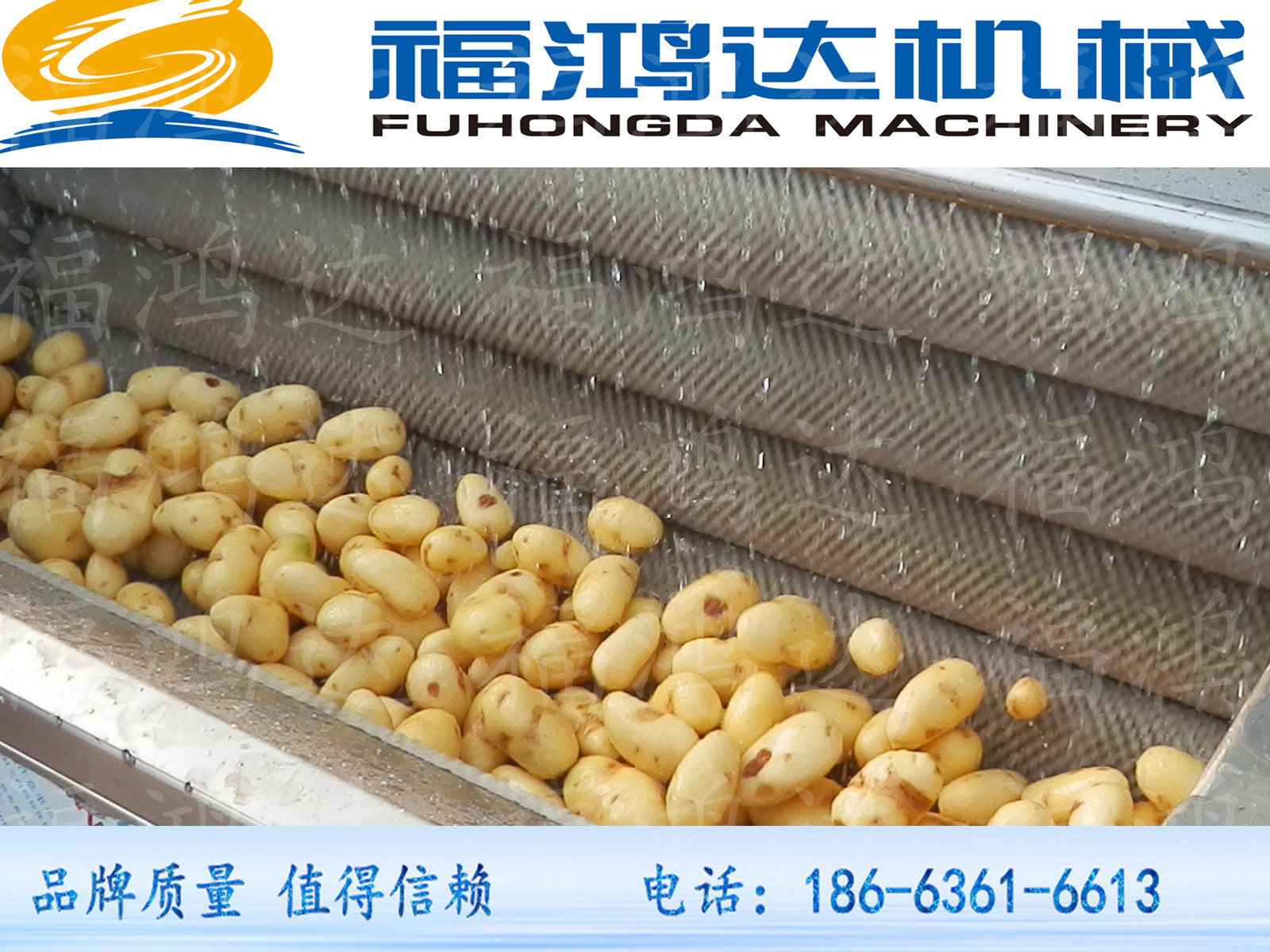 蔬菜毛刷清洗機(jī)