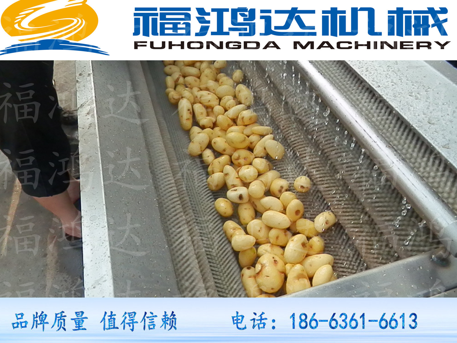 蔬菜毛刷清洗機(jī)