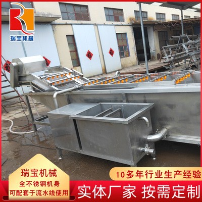 軟包裝袋清洗去污設(shè)備 氣泡式竹筍翻浪清洗機 毛豆豆角專用清洗機