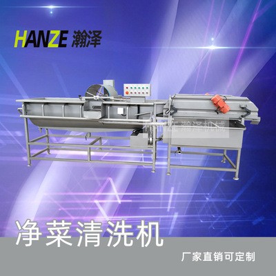 商用全自動噴淋式水果蔬菜清洗機 山野菜去農(nóng)殘氣泡清洗機