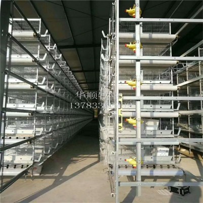 層疊育雛籠 養(yǎng)的多通風(fēng)好