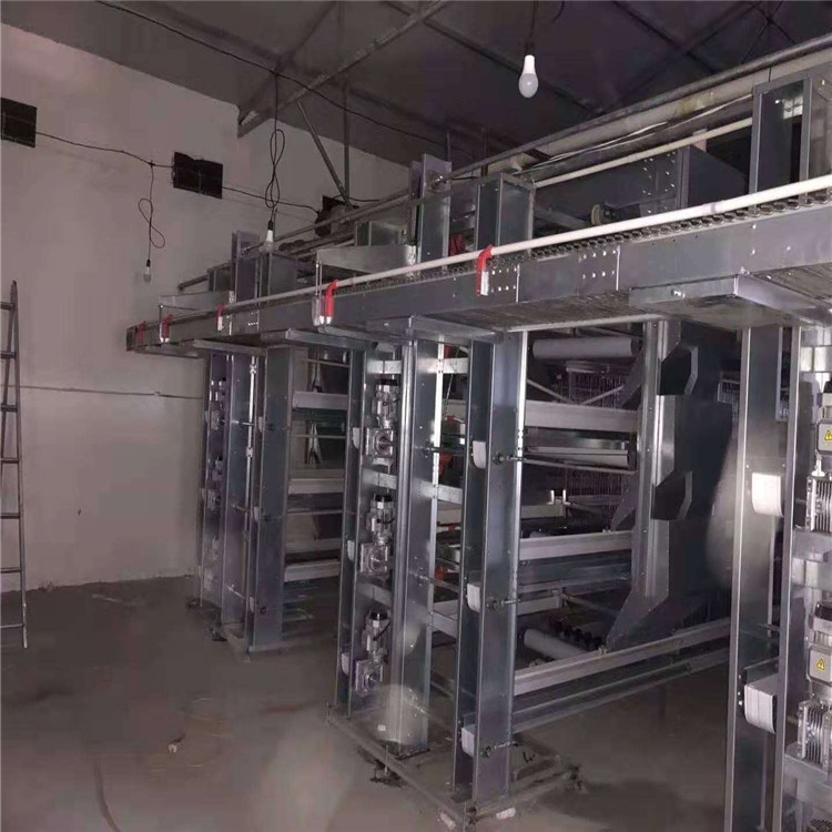 層疊蛋雞籠深受養(yǎng)殖戶喜愛操作方便好管理讓養(yǎng)殖更輕松