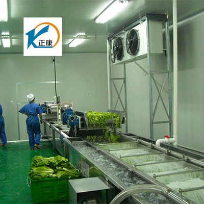 氣泡清洗機,果蔬清洗機,高壓噴淋清洗機,橙子清洗機13869639035