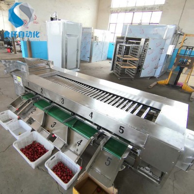 番茄滾杠分級機(jī) 滾杠式芋頭選果機(jī) 土豆重量分選機(jī)價(jià)格 廠家供應(yīng)