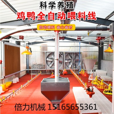 畜牧養(yǎng)殖設(shè)備雞自動(dòng)料線水線喂食器飲水器自動(dòng)上料機(jī)山東料線廠家