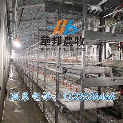 三黃雞 肉雞籠養(yǎng)設(shè)備料盤式自動(dòng)清糞三層籠養(yǎng)設(shè)備雞籠養(yǎng)殖設(shè)備