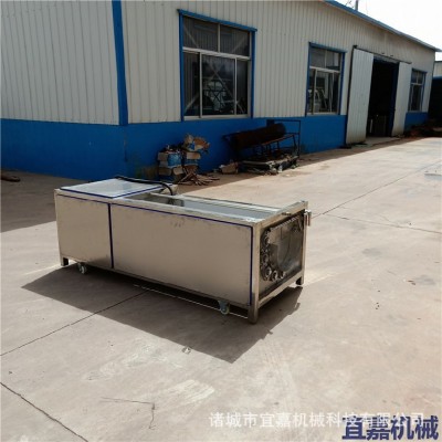 不銹鋼毛棍刷清洗機土豆紅薯蓮藕胡蘿卜薺菜脫皮去皮清洗泥沙設(shè)備