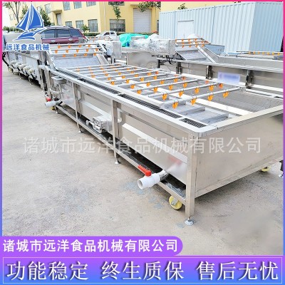 果蔬清洗機(jī) 多功能藍(lán)莓葡萄清洗機(jī) 噴淋氣泡水果蔬菜清洗流水線
