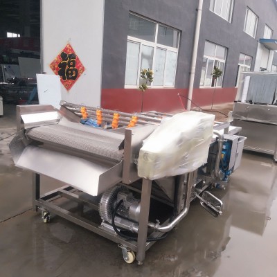 江蘇龍蝦清洗機(jī) 廠家供應(yīng)小龍蝦氣泡超聲波清洗機(jī)流水線