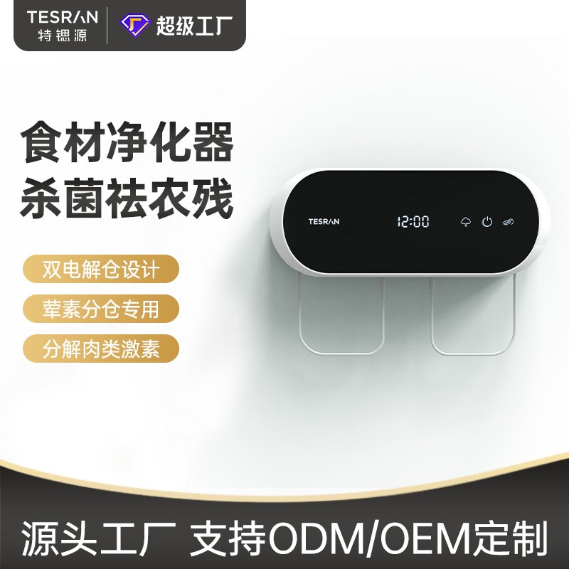 果蔬清洗凈化器家用蔬菜清洗機雙倉去農(nóng)殘降解激素廠家直供