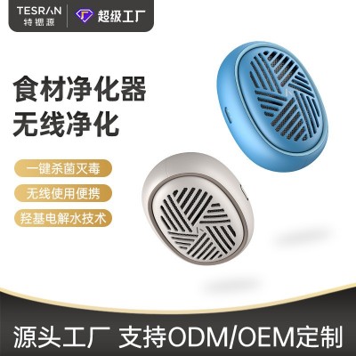 便攜果蔬清洗凈化器家用洗菜凈化消毒清洗機(jī)羥基去除農(nóng)殘降解激素