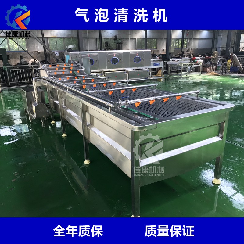 商用高壓噴淋式氣泡清洗機 多功能果蔬清洗機 枸杞連續(xù)式清洗機
