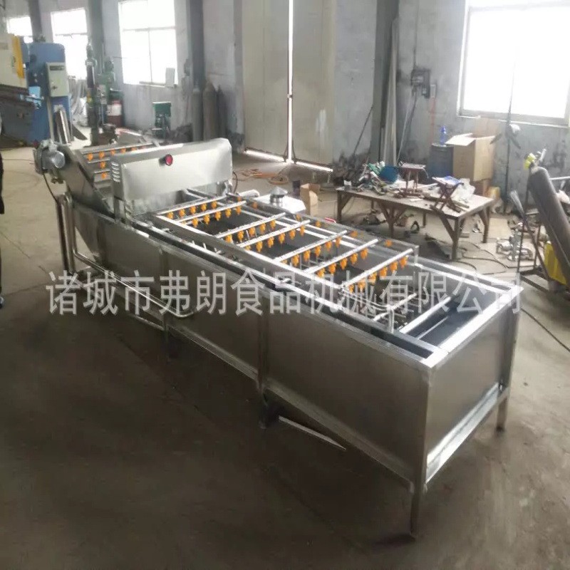 果蔬清洗風干分級成套設備 商用不銹鋼氣泡清洗機 荔枝氣泡清洗機
