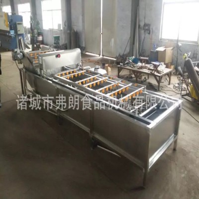 果蔬清洗風干分級成套設(shè)備 商用不銹鋼氣泡清洗機 荔枝氣泡清洗機