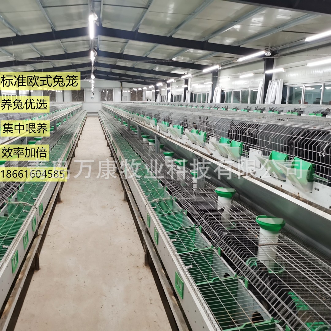 養(yǎng)兔子的設(shè)備兔籠 兔舍歐式雙層籠具繁育一體籠