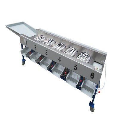 柑橘水果分級(jí)機(jī) 果蔬分選機(jī)柑桔選果機(jī)家用一體機(jī)廠(chǎng)家直銷(xiāo)